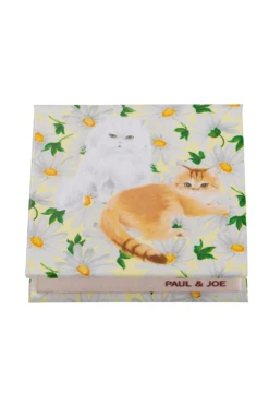 Boîtier Compact Nounette Et Gipsy