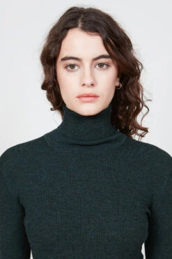 Pull Col Roulé En Laine Mérinos -Élégance Soldes H122QBENJAMIN 052 33fb25a1 db30 4717 8628 726bf763bd13