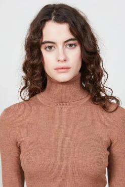 Pull Col Roulé En Laine Mérinos