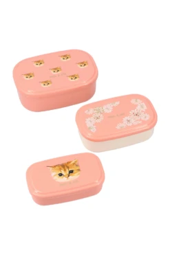 Trio De Lunch Box Motif Nounette